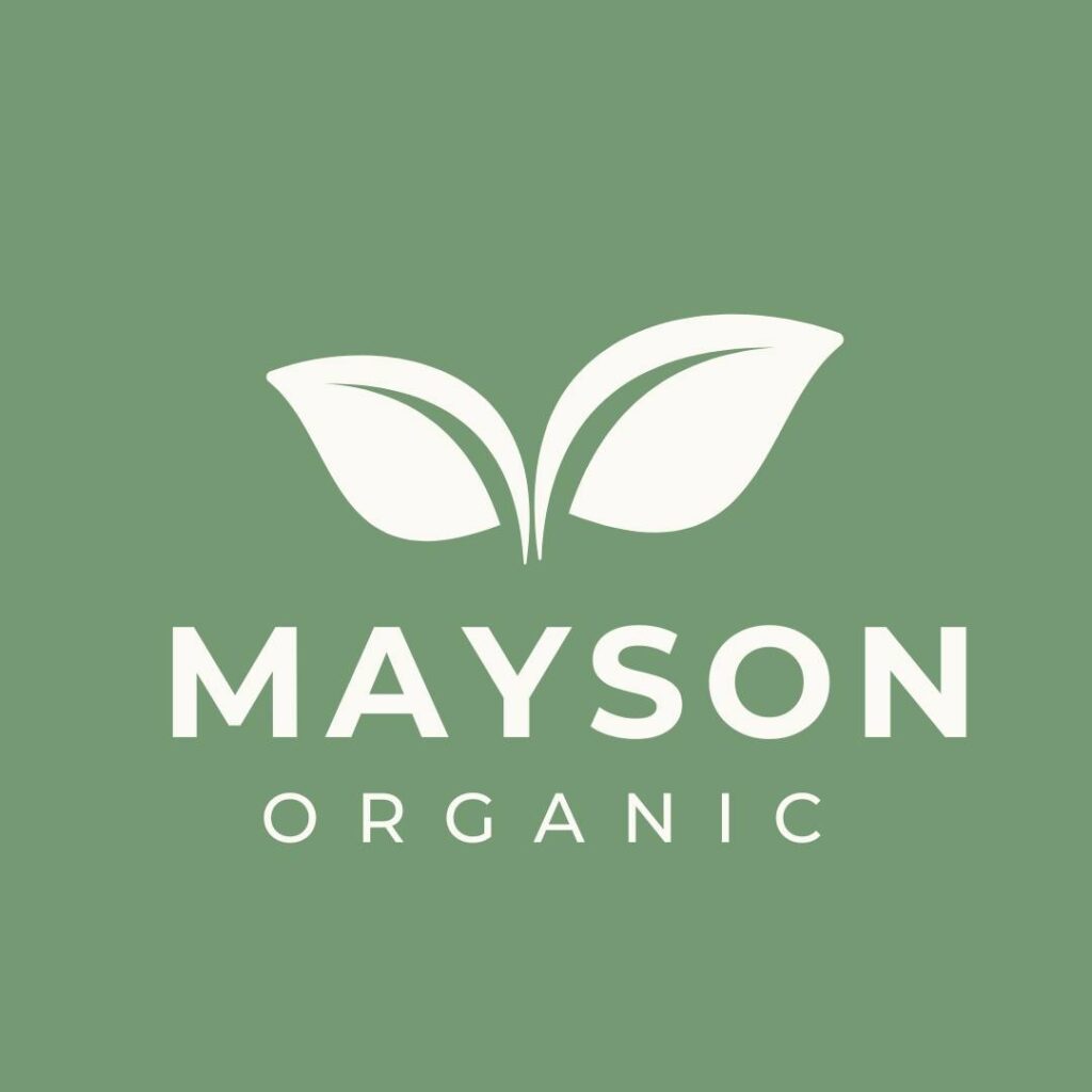 logo mayson